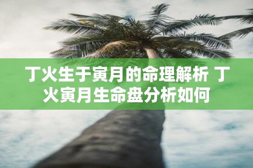 丁火生于寅月的命理解析 丁火寅月生命盘分析如何