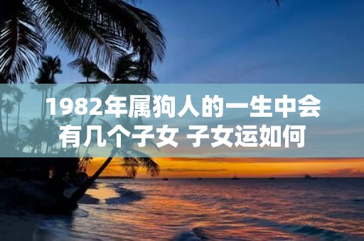 1982年属狗人的一生中会有几个子女 子女运如何