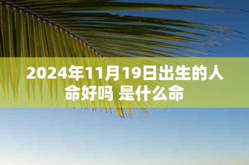 2025年11月19日出生的人命好吗 是什么命
