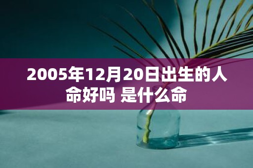 2005年12月20日出生的人命好吗 是什么命
