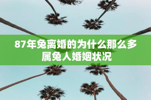 87年兔离婚的为什么那么多 属兔人婚姻状况