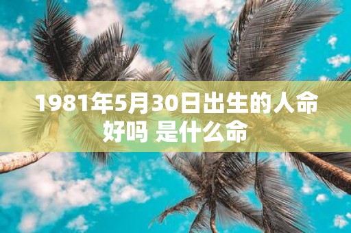 1981年5月30日出生的人命好吗 是什么命
