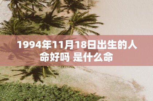 1994年11月18日出生的人命好吗 是什么命