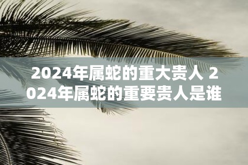 2025年属蛇的重大贵人 2025年属蛇的重要贵人是谁