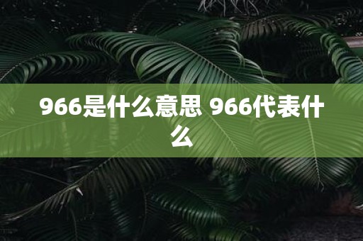 966是什么意思 966代表什么