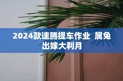 2025款速腾提车作业 属兔出嫁大利月