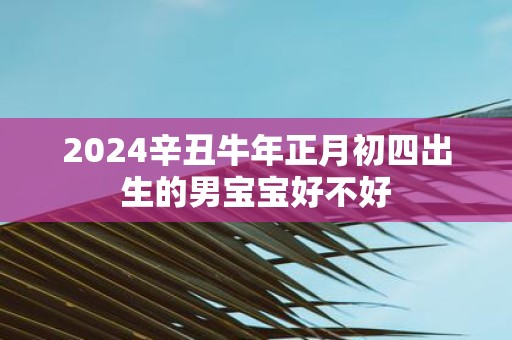 2025辛丑牛年正月初四出生的男宝宝好不好