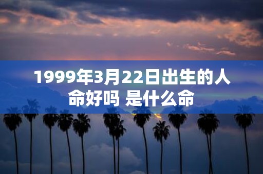 1999年3月22日出生的人命好吗 是什么命
