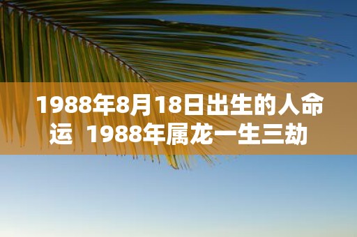 1988年8月18日出生的人命运 1988年属龙一生三劫