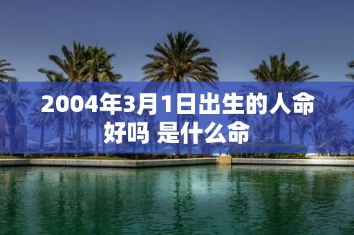 2004年3月1日出生的人命好吗 是什么命