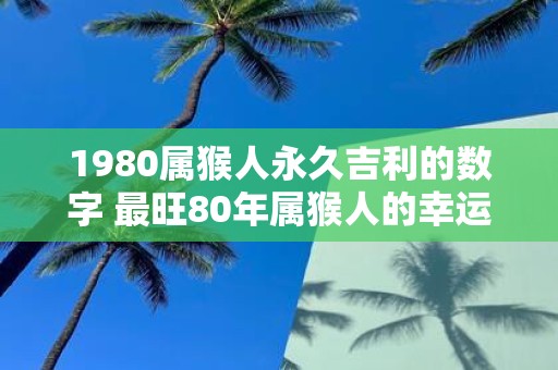1980属猴人永久吉利的数字 最旺80年属猴人的幸运号码