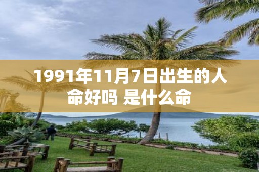 1991年11月7日出生的人命好吗 是什么命