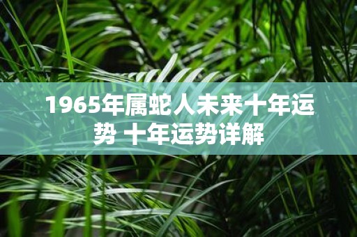 1965年属蛇人未来十年运势 十年运势详解
