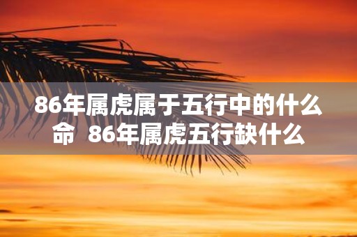 86年属虎属于五行中的什么命 86年属虎五行缺什么