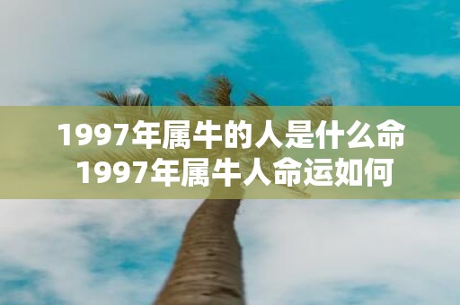 1997年属牛的人是什么命 1997年属牛人命运如何