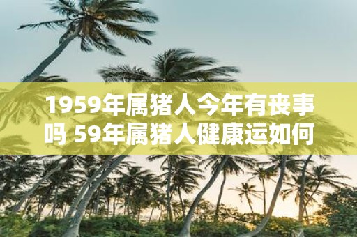 1959年属猪人今年有丧事吗 59年属猪人健康运如何