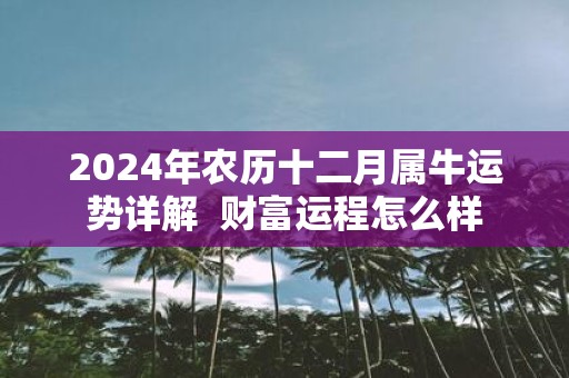 2025年农历十二月属牛运势详解 财富运程怎么样