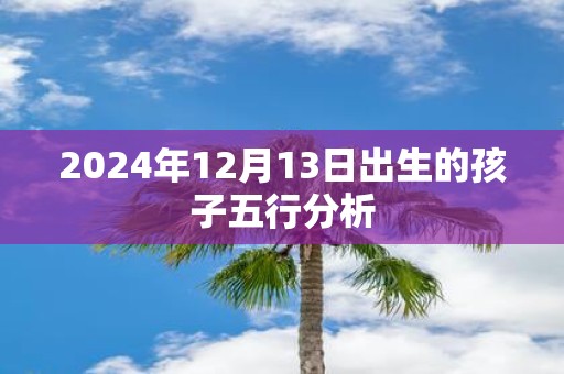 2025年12月13日出生的孩子五行分析