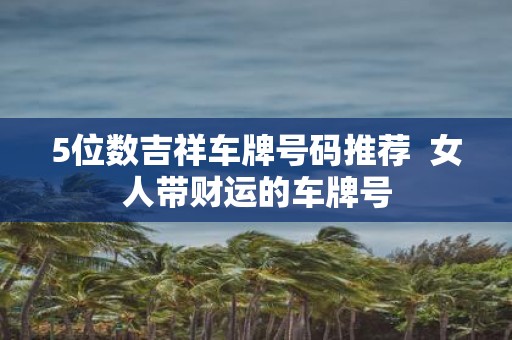 5位数吉祥车牌号码推荐 女人带财运的车牌号