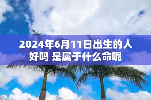 2025年6月11日出生的人好吗 是属于什么命呢