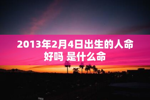 2013年2月4日出生的人命好吗 是什么命
