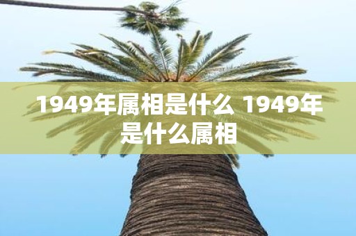 1949年属相是什么 1949年是什么属相