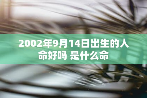 2002年9月14日出生的人命好吗 是什么命