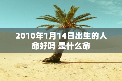 2010年1月14日出生的人命好吗 是什么命
