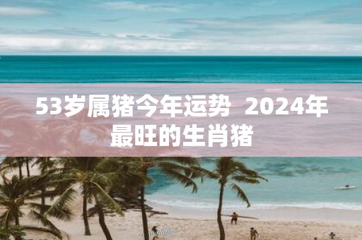 53岁属猪今年运势 2025年最旺的生肖猪