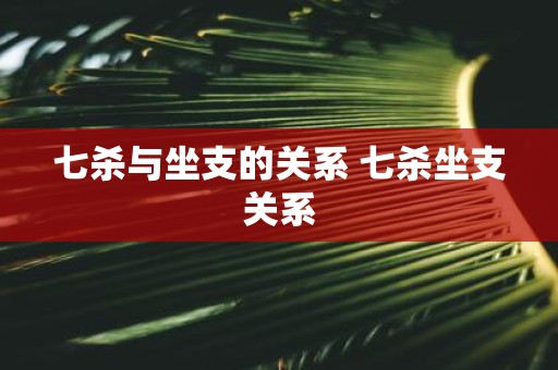 七杀与坐支的关系 七杀坐支关系