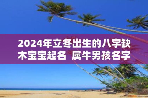 2025年立冬出生的八字缺木宝宝起名 属牛男孩名字