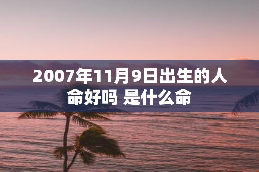 2007年11月9日出生的人命好吗 是什么命