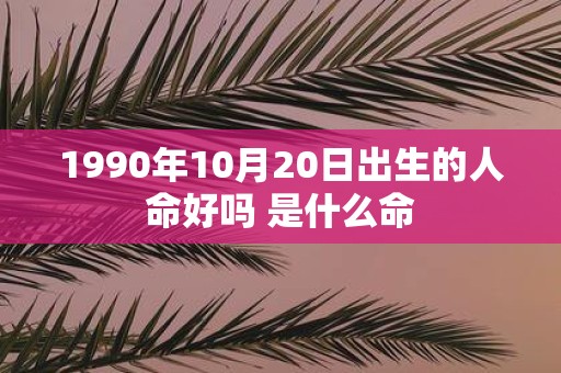 1990年10月20日出生的人命好吗 是什么命