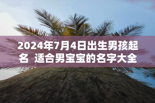 2025年7月4日出生男孩起名 适合男宝宝的名字大全