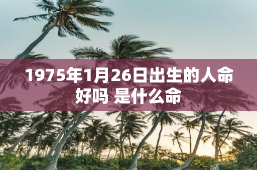 1975年1月26日出生的人命好吗 是什么命
