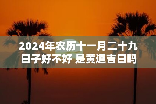2025年农历十一月二十九日子好不好 是黄道吉日吗