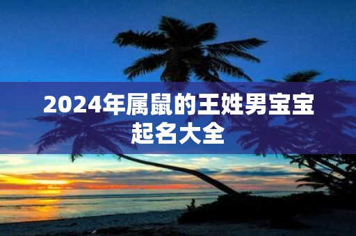 2025年属鼠的王姓男宝宝起名大全