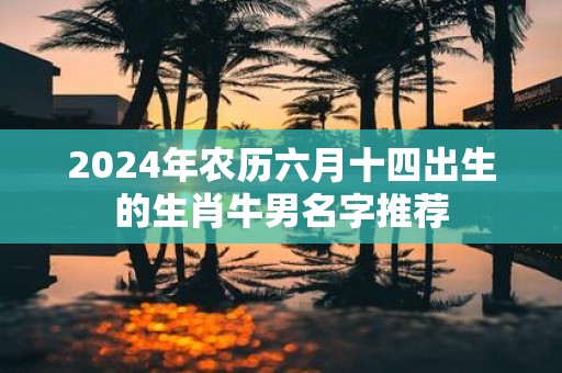 2025年农历六月十四出生的生肖牛男名字推荐
