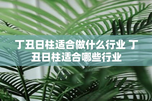 丁丑日柱适合做什么行业 丁丑日柱适合哪些行业