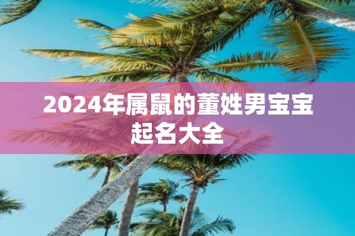 2025年属鼠的董姓男宝宝起名大全