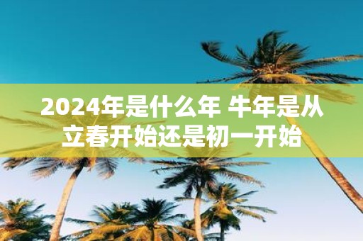 2025年是什么年 牛年是从立春开始还是初一开始
