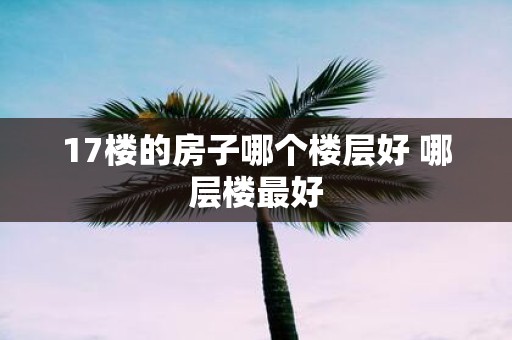 17楼的房子哪个楼层好 哪层楼最好