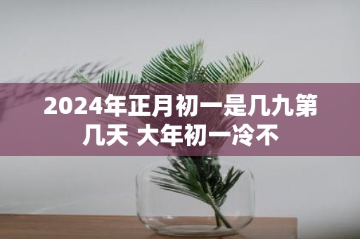 2025年正月初一是几九第几天 大年初一冷不