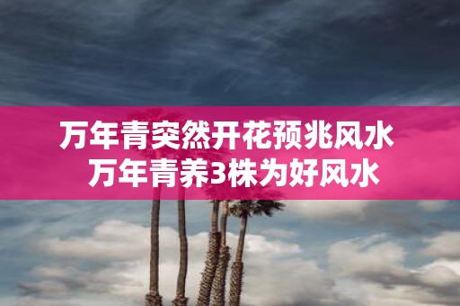 万年青突然开花预兆风水 万年青养3株为好风水