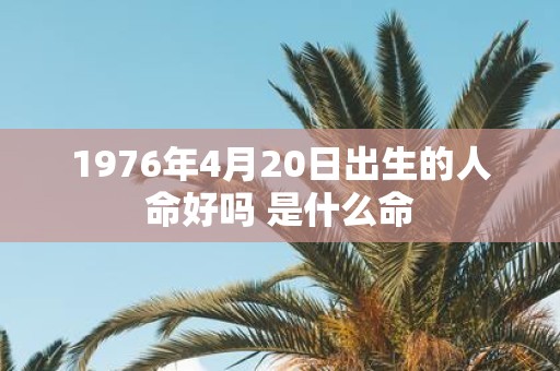 1976年4月20日出生的人命好吗 是什么命
