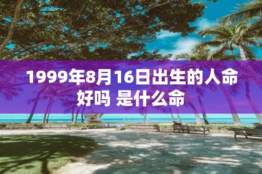 1999年8月16日出生的人命好吗 是什么命