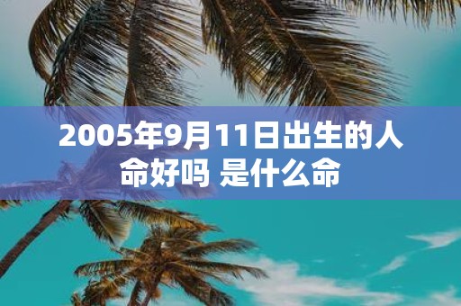 2005年9月11日出生的人命好吗 是什么命