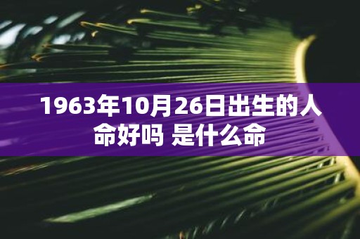 1963年10月26日出生的人命好吗 是什么命