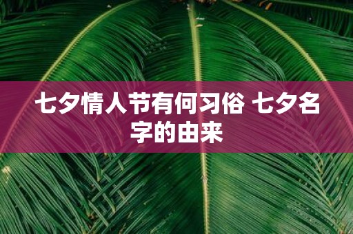 七夕情人节有何习俗 七夕名字的由来