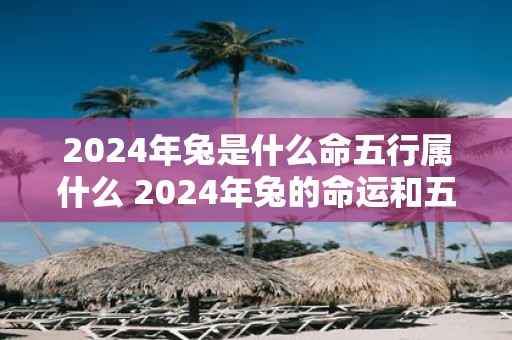 2025年兔是什么命五行属什么 2025年兔的命运和五行属性是什么